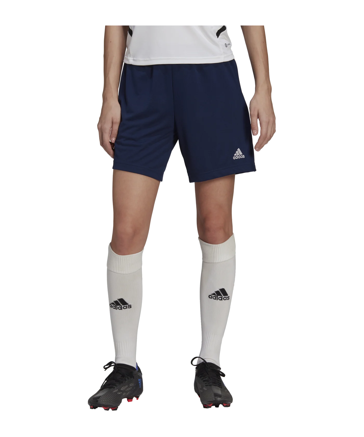 adidas Entrada 22 Trainingsshort Damen Blau