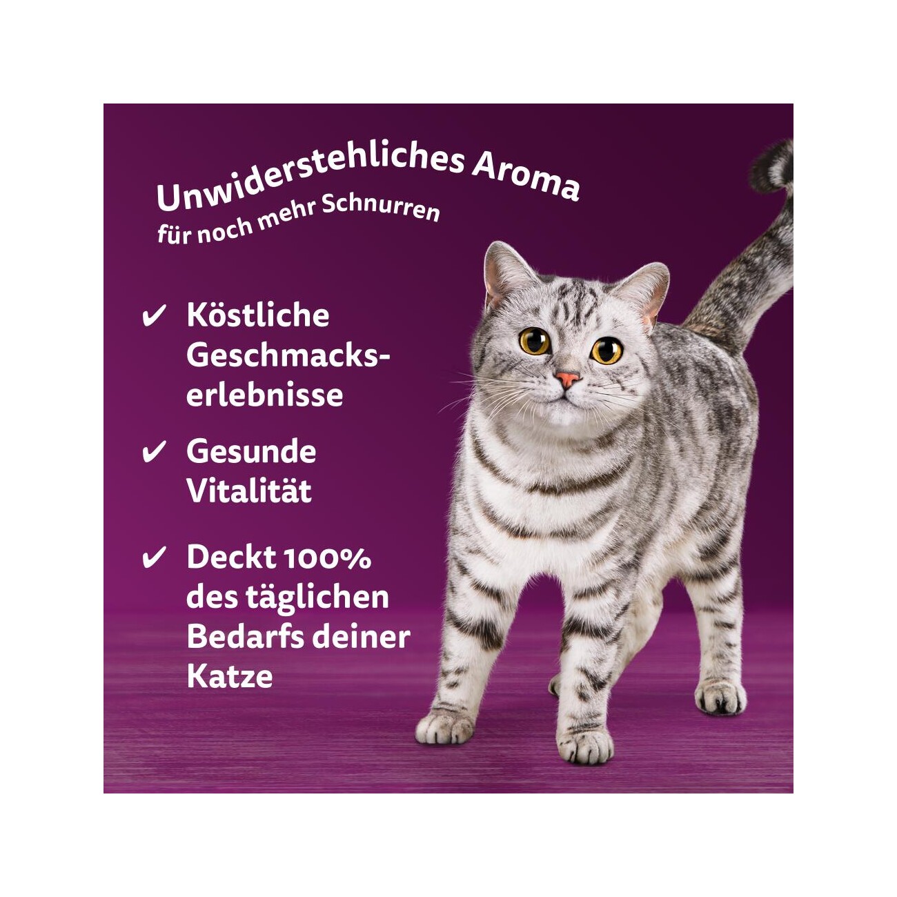 Whiskas Nassfutter Katze Adult, Multipack, 1+ Geflügel Auswahl, in Sauce 12x85 g