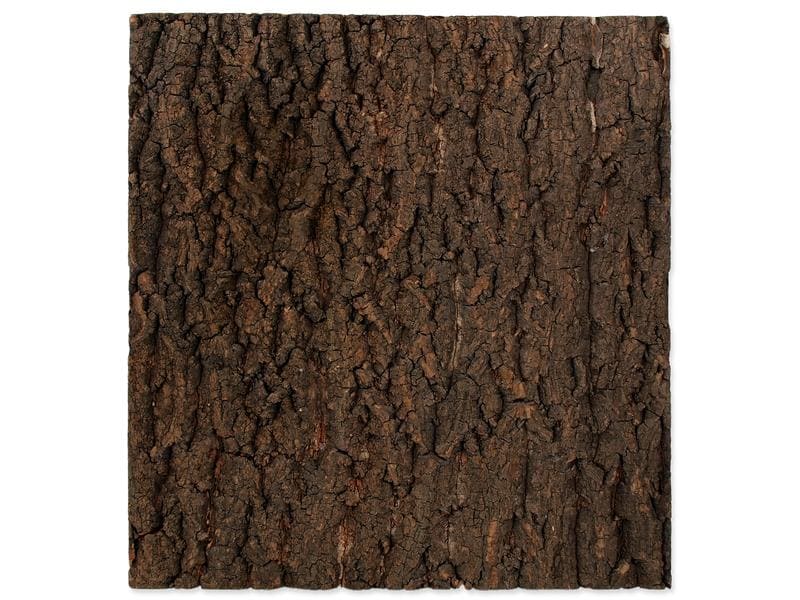 Repti Planet Kork-Rück Wand 43.5 x 41 x 2 cm Terrarienrückwand aus Kork