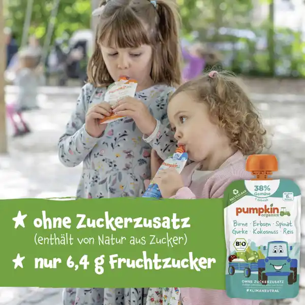 Bio Quetschie mit Birne, Erbsen, Spinat, Gurke, Kokosnuss & Reis