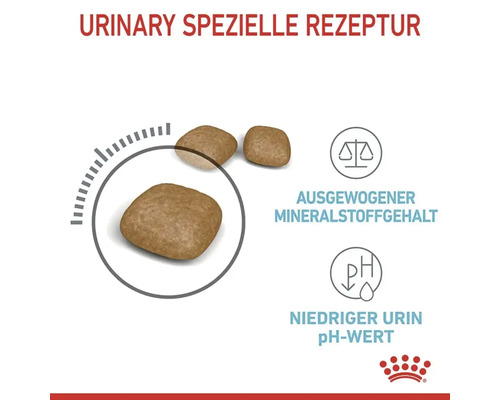 Droog kattenvoer, ROYAL CANIN FCN Urinary Care 10 kg