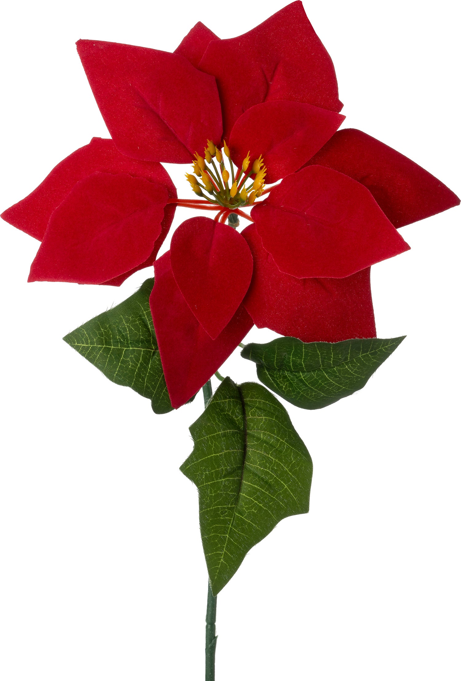 Intratuin kunstbloem Kerstster donkerrood 20 cm