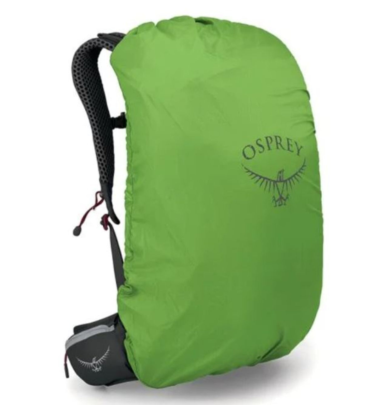 Osprey<br>Stratos 24