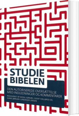 Studiebibelen - Bodil Ejrnæs - Bog