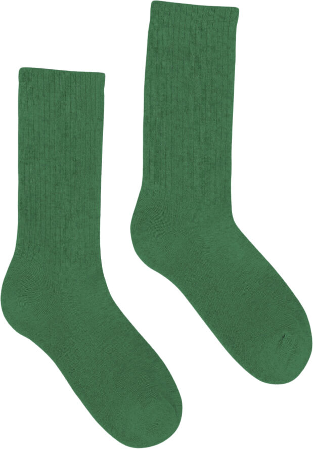 Colorful Standard Organic Active Sock Kelly green