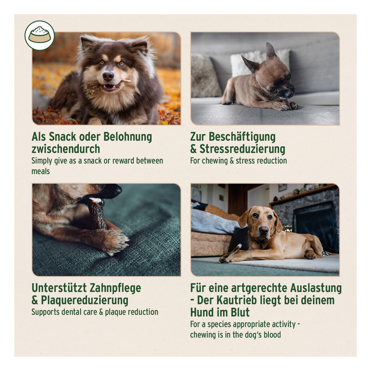 AniForte Hochland Hirschgeweih Medium