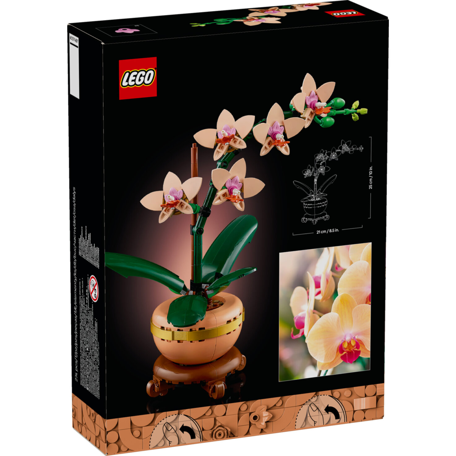 LEGO® Botanicals 10343 Mini-Orchidee ab 18 Jahren
