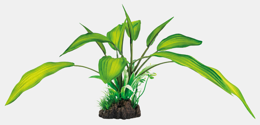 Aquarium decoratie set Steen Kunstplanten  | Inrichting