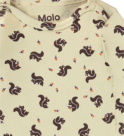 Molo Body l/ä - Foss - Mini -Eichhörnchen
