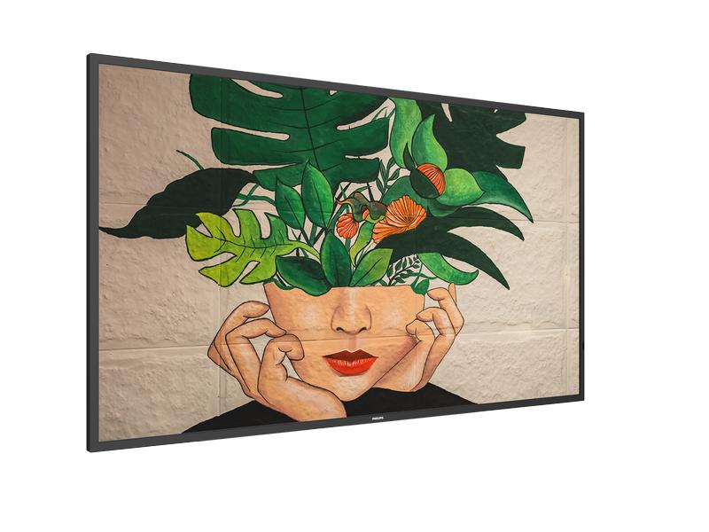 Philips Public Display D-Line 50BDL4511D/00 50 