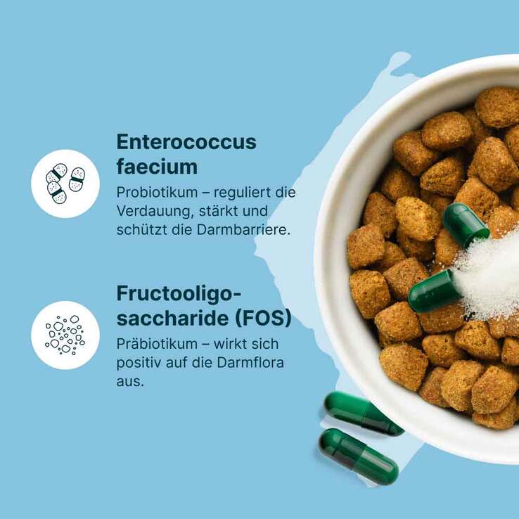 Gasteel Diät-Ergänzungsfuttermittel Kapseln für Hunde / Katzen, 50 St