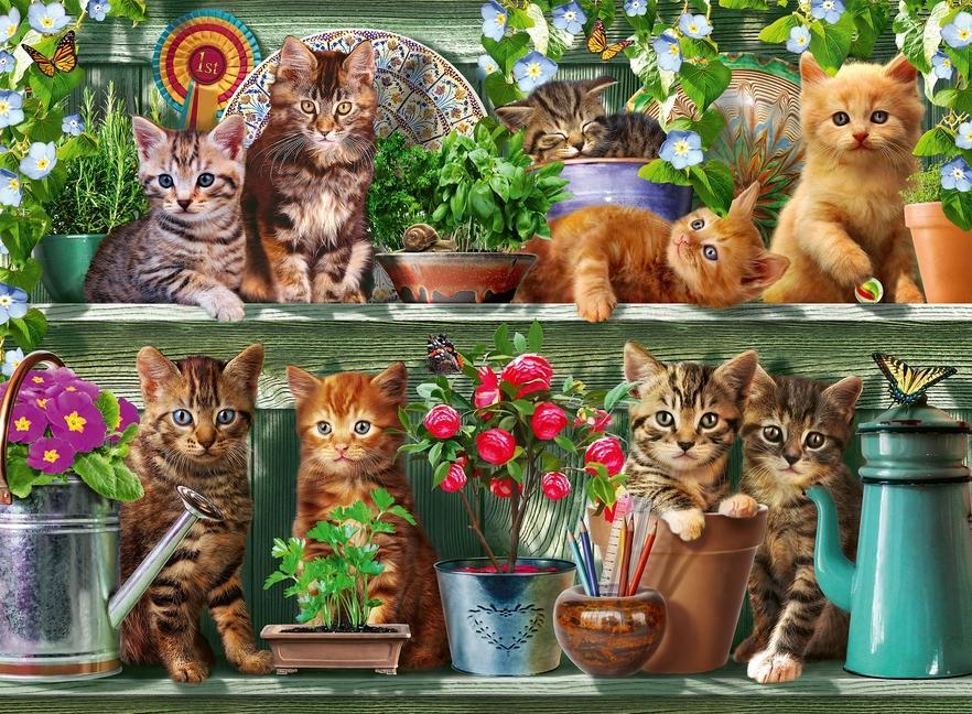 Puzzle KATZEN IM REGAL 500-teilig
