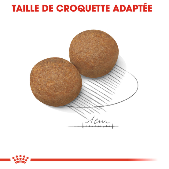 Croquettes chien de grande taille Maxi Adult 4kg