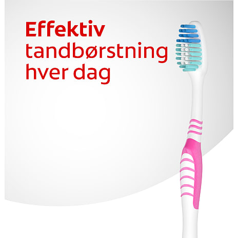 Tandbørster medium