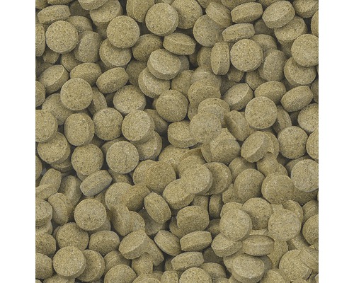 Sera Viformo 100 ml voedertabletten