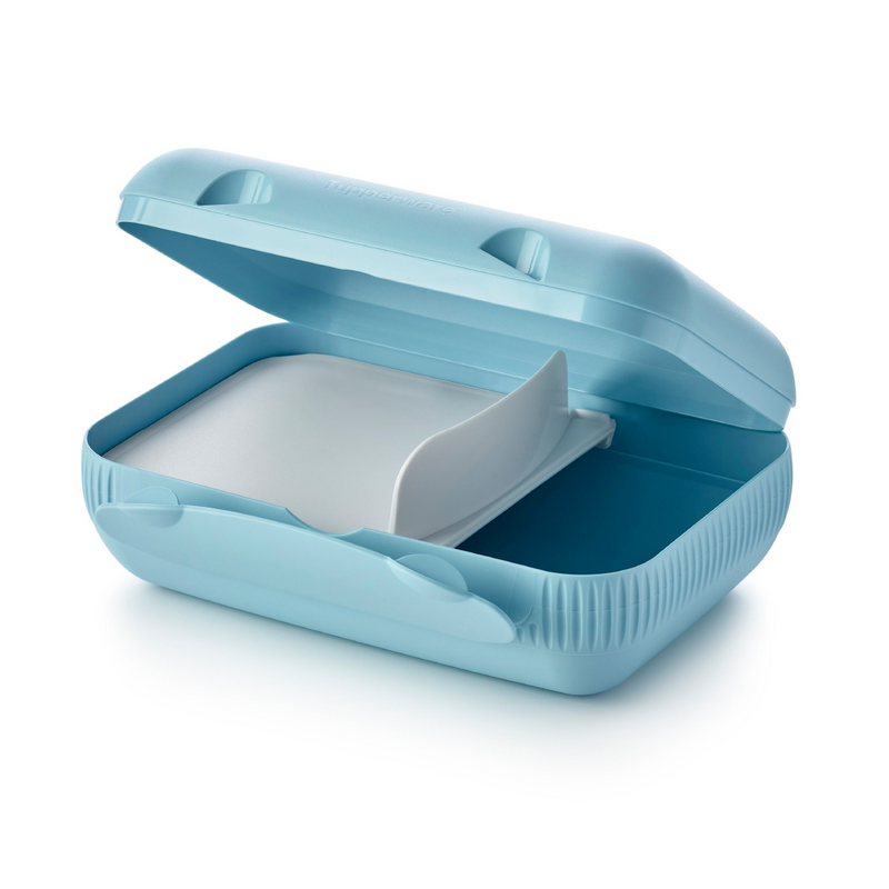 Eco+ Lunch-Box Die Brotdose für den großen Hunger