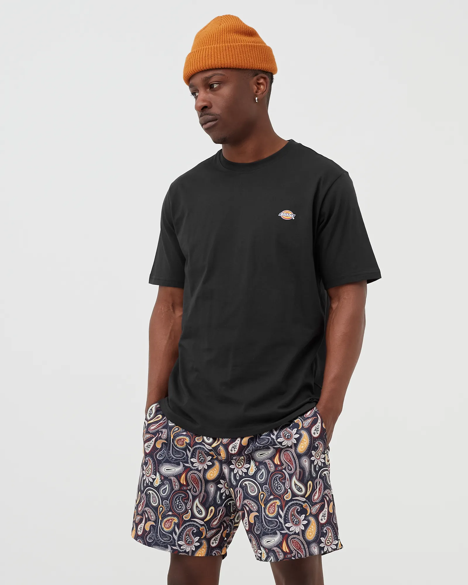 DICKIES S/S MAPLETON T-SHIRT