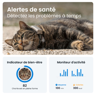 Tractive GPS Tracker Cat5 Mini für Katzen hellbraun