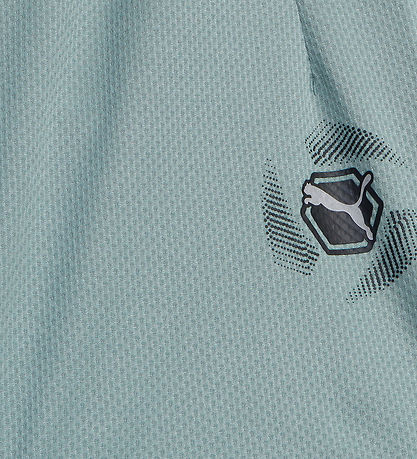 Puma Shorts - Active - Green Mond