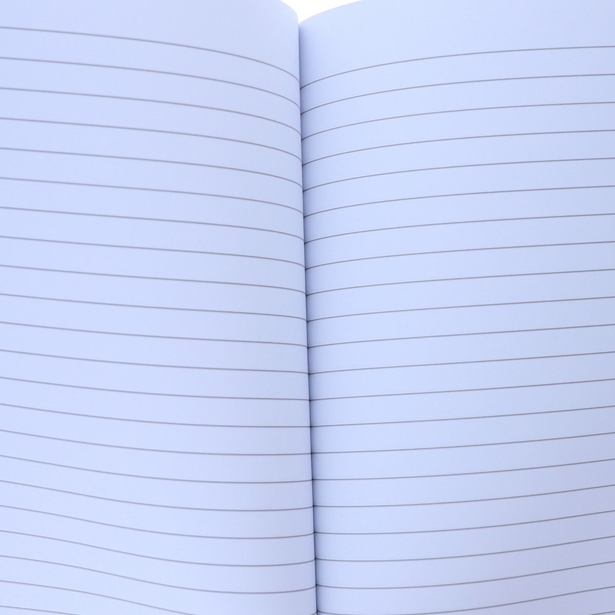 Cahier rose à paillettes Rollers Mercredi et Patati