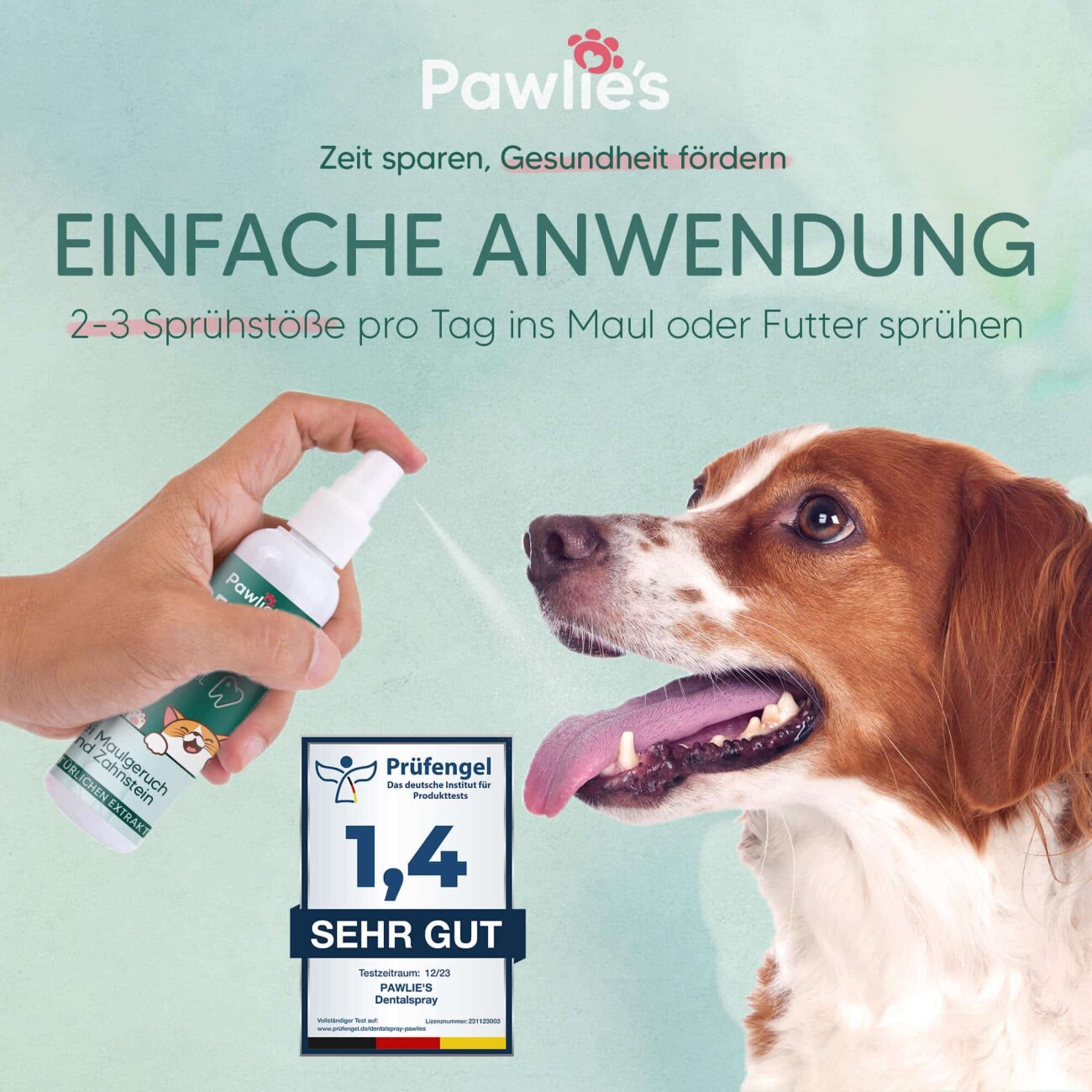 Pawlie's Zahnpflege-Set