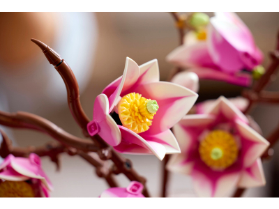 LEGO Magnoliatakken (11510)