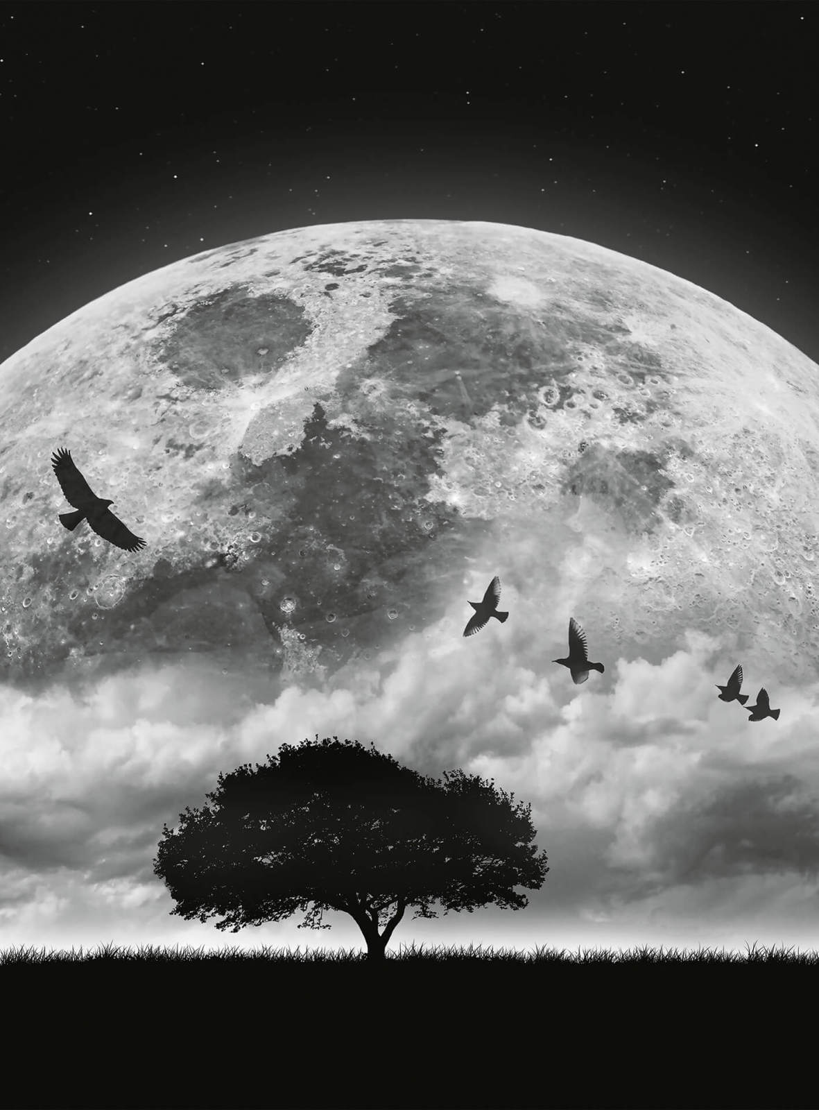 Fototapete DESIGNWALLS 2.0 - schwarz-weiß - Mond - 2,6 Meter