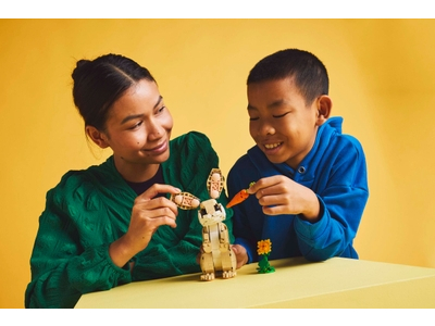 LEGO Lief konijn (31162)