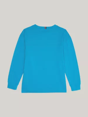 Camiseta Varsity de Manga Longa Archive