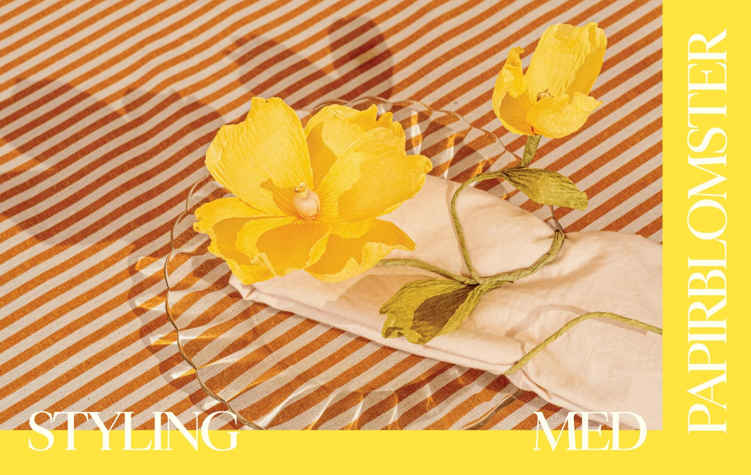 New Mags  Papirblomster med Almeja Space bog