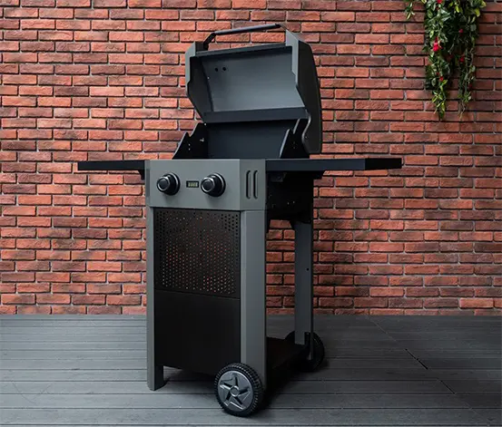 Buschbeck Elektrogrill »Grenada«, 2-Brenner