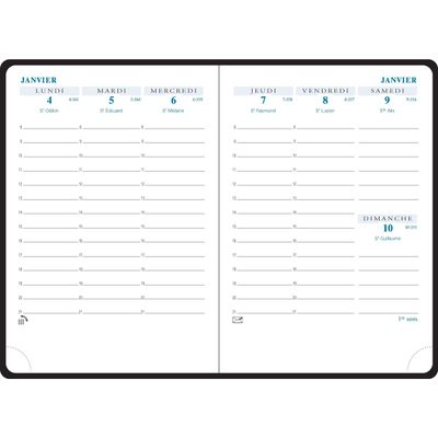 Recharge Agenda Grille SAS 13 - 1 semaine sur 2 pages - 9 x 13 cm - Exacompta