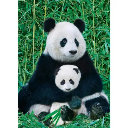 Eurographics Panda und Baby, 1000 Teile