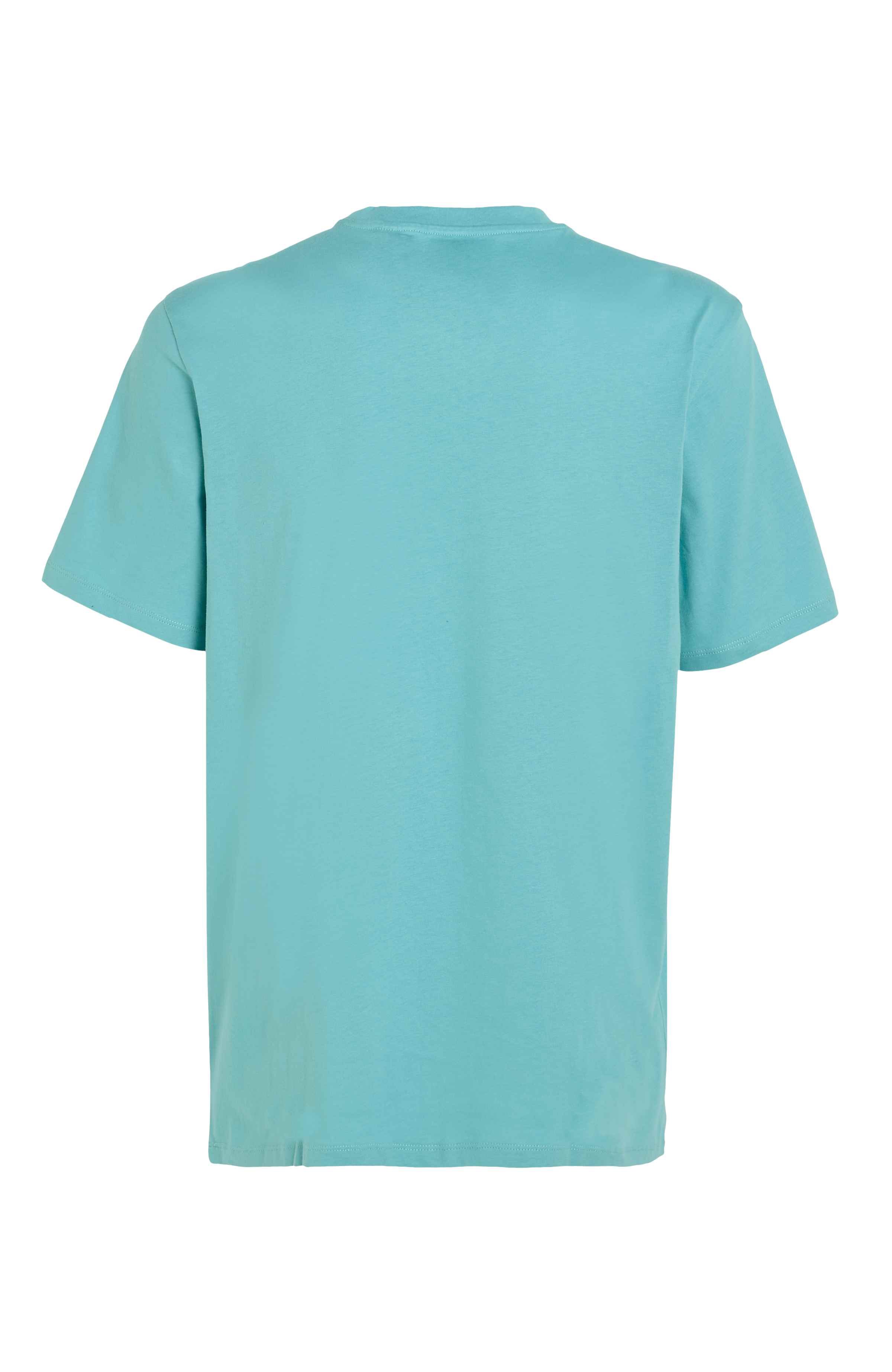 Small Logo T-shirt O`Neill Turkoois