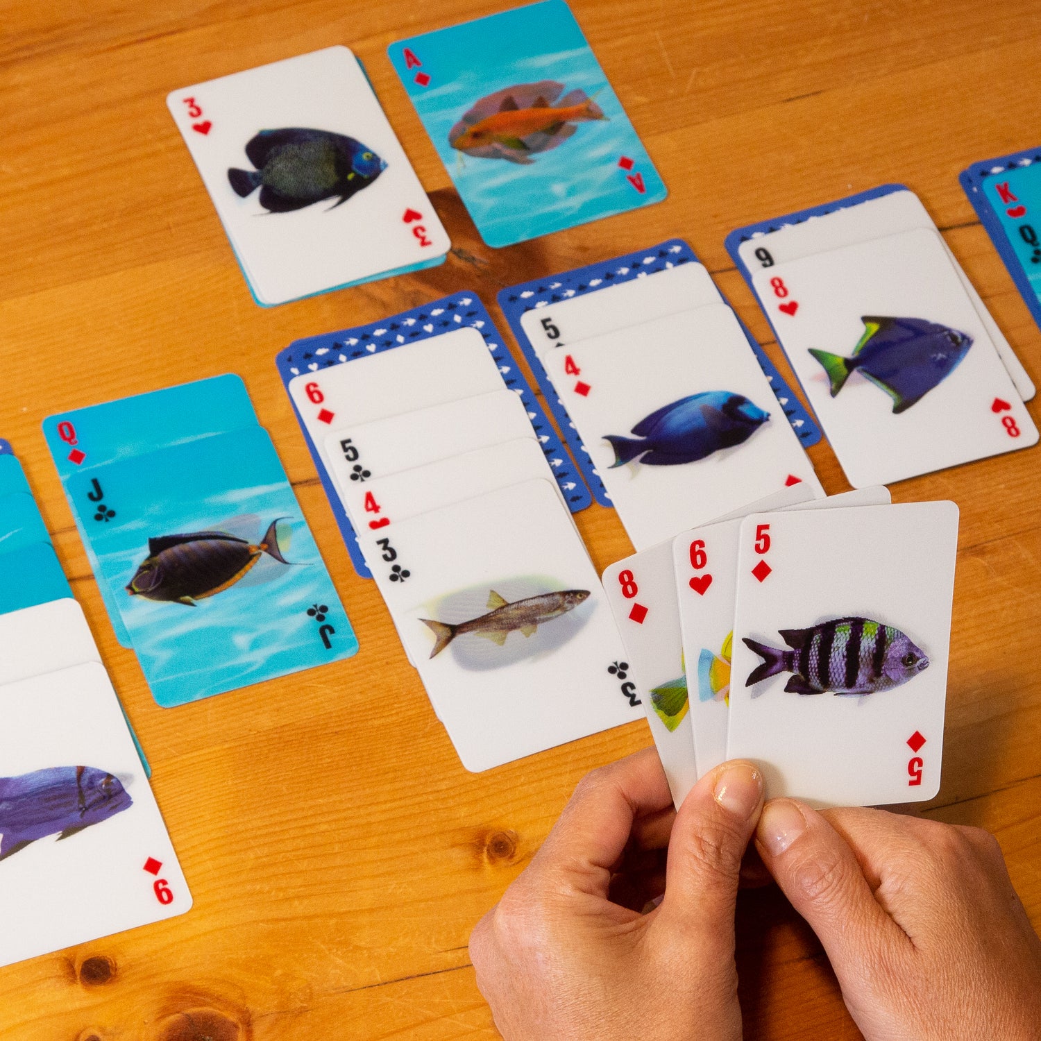 3-D Fish Cards