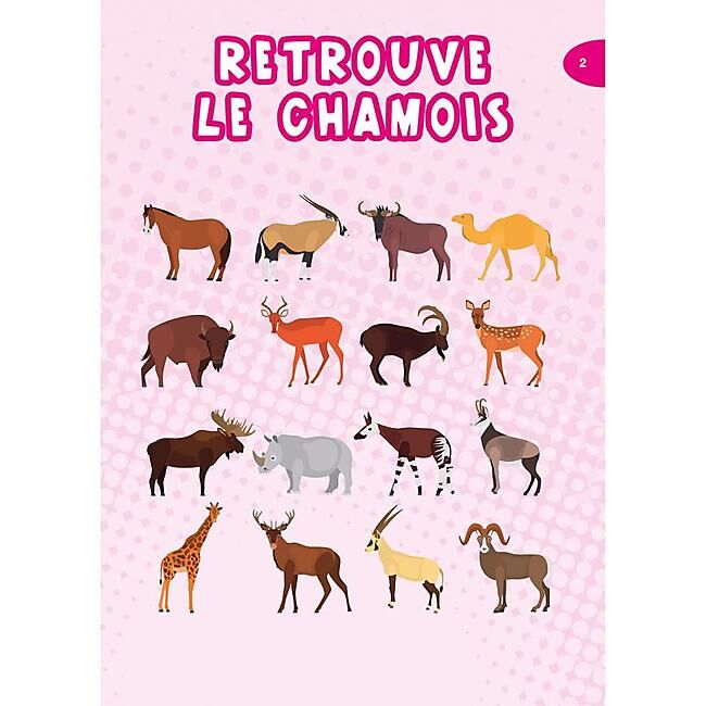 PETIT BLOC DE JEUX MONTAGNE