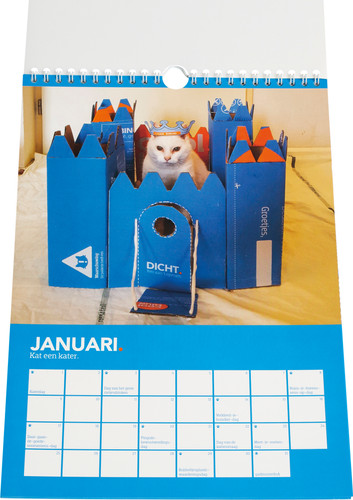 Coolblue Kattenkalender
