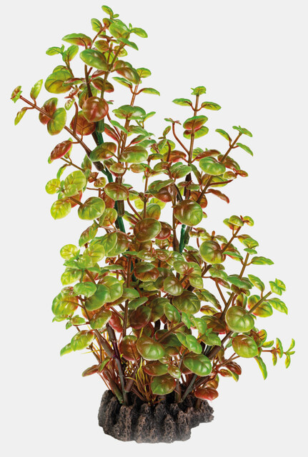 Superfish Art Plant 25cm Rotala | Aquarium planten