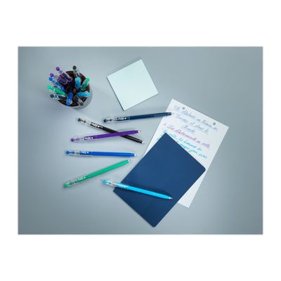 Pilot FriXion Ball Stick - 6 Rollers effaçables - couleurs froides assorties