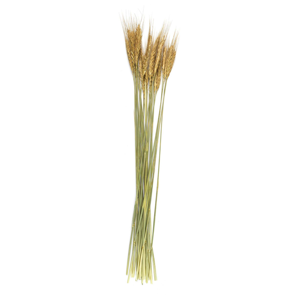 Bouquet de fleur séchée 75 cm (lot de 2)