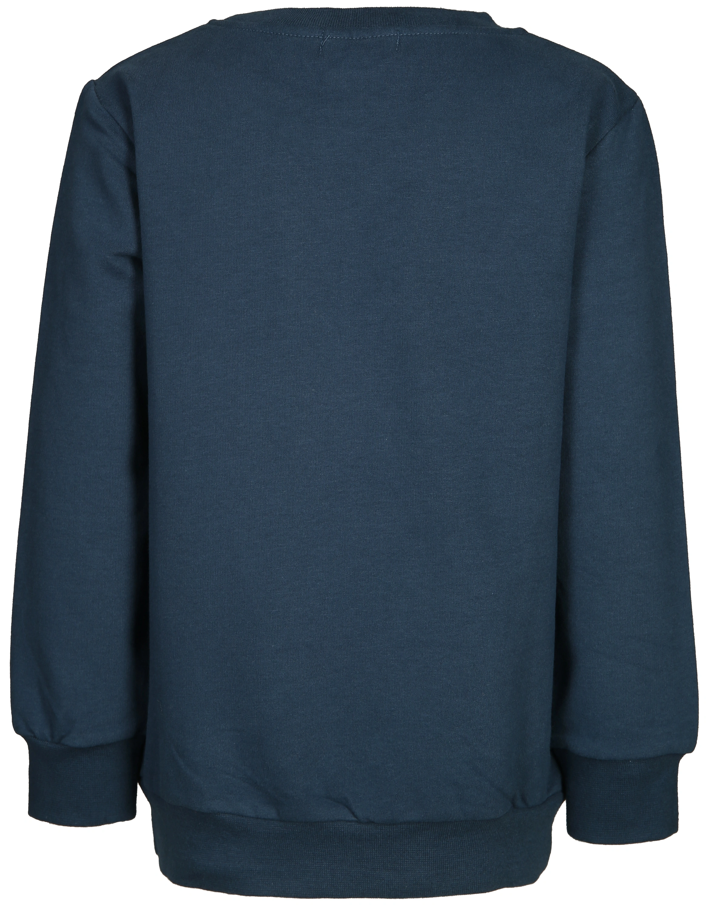 Sweatshirt WASCHBÄR in dunkelblau