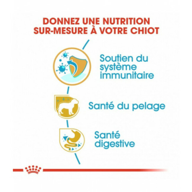 Croquettes Royal Canin Caniche Junior