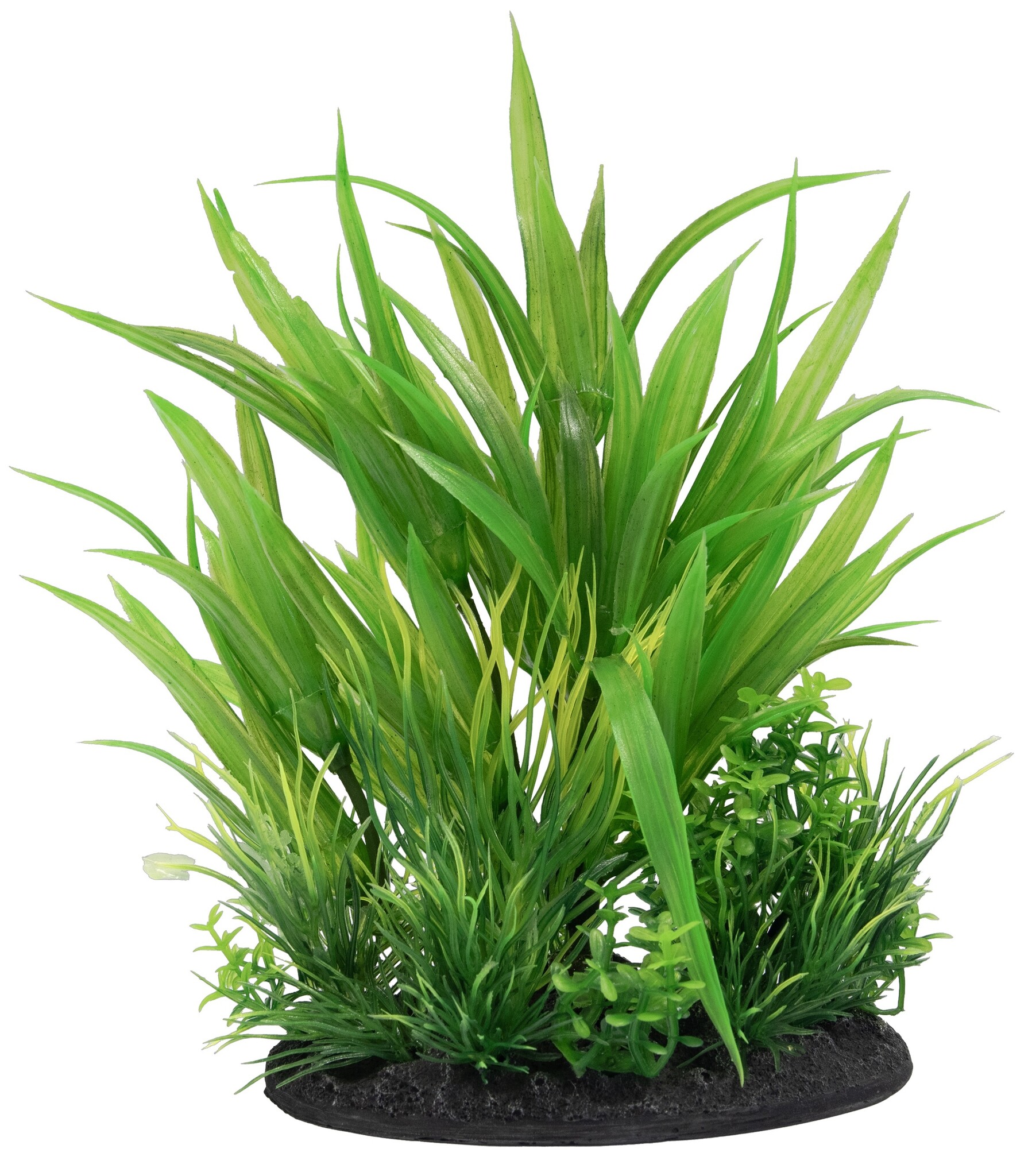 Deco Plant S6