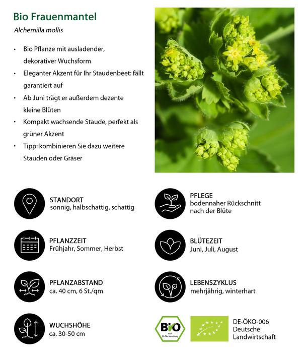 Bio Stauden-Set Alte Liebe, Landlust