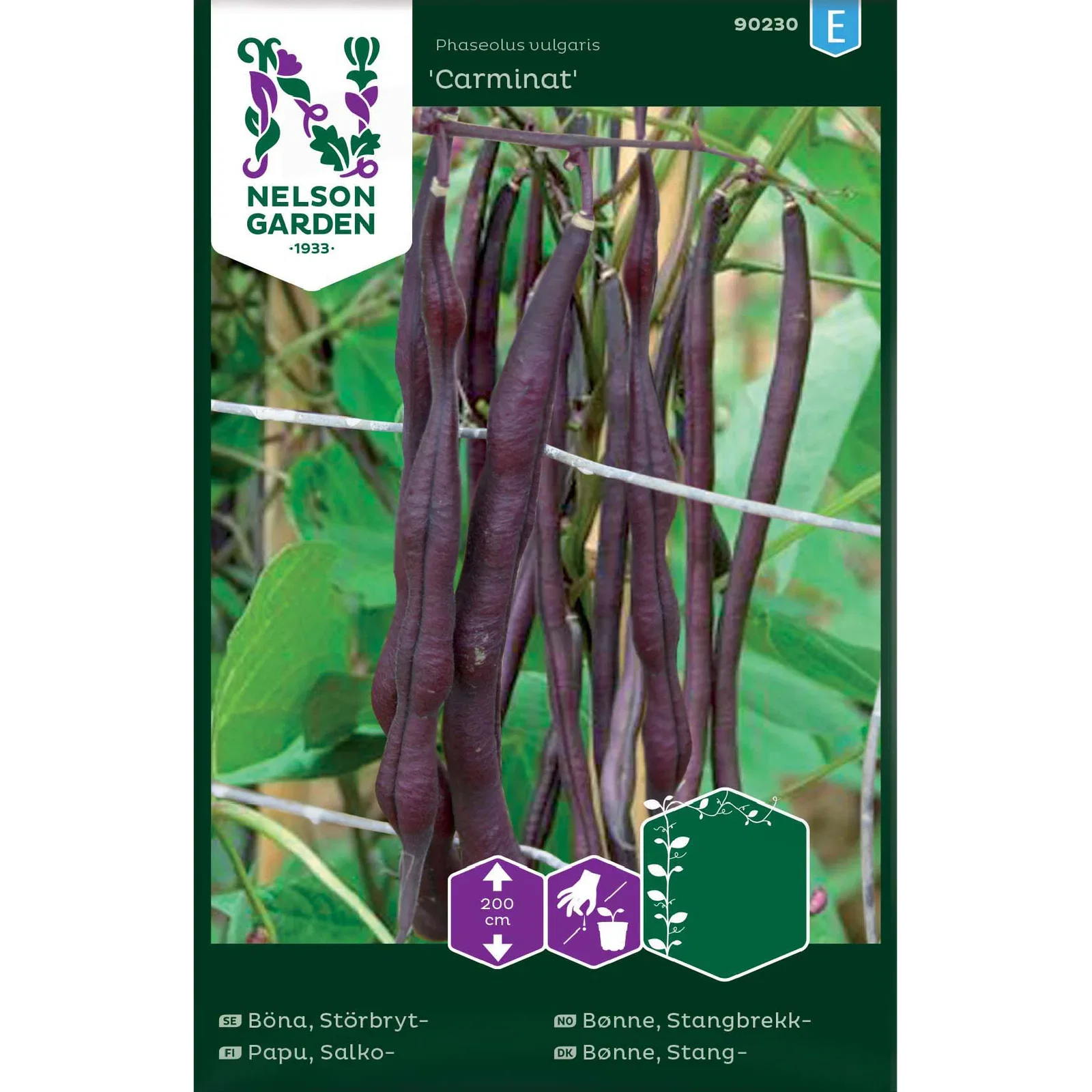 Phaseolus vulgaris 'Carminat' Stangbrekkbønne 'Carminat'