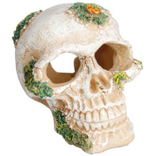Décoration aquarium Skull Flamingo