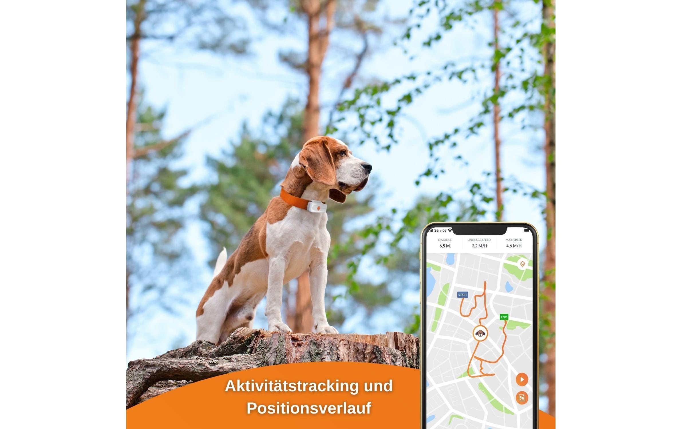 GPS-Tracker »Weenect XS für Hunde Weiss«