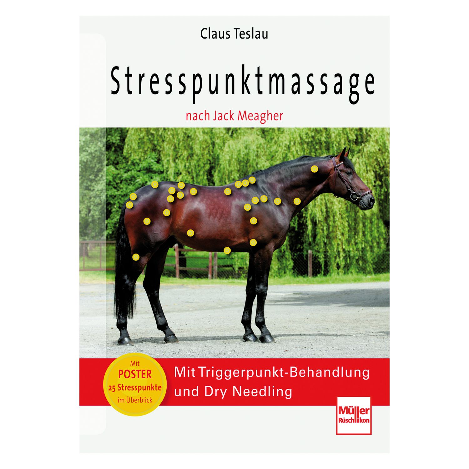 Stresspunktmassage nach Jack Meagher