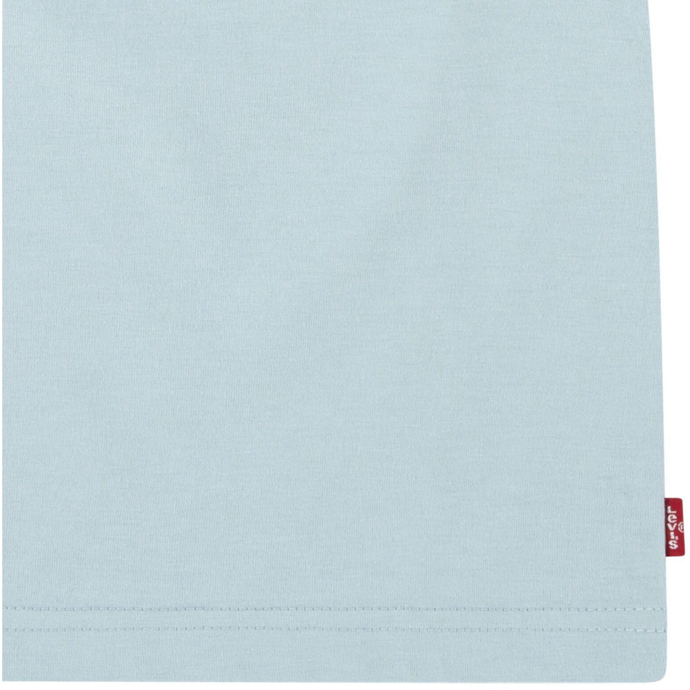 Køb Levi's Ether Lvb Desert At Dusk Tee