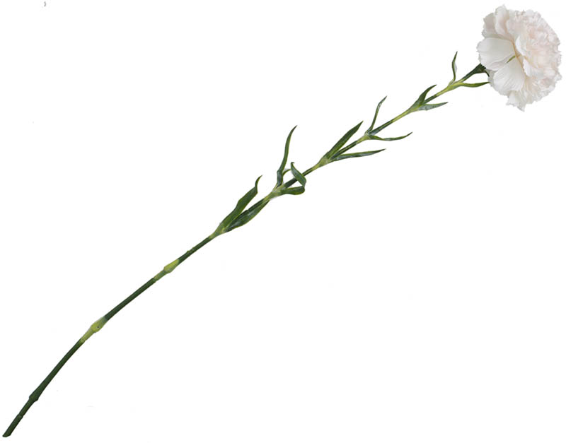 Nellik stilkblomst 63 cm rosa